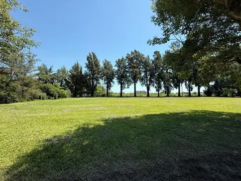 Terreno en Venta de 800,0 m2