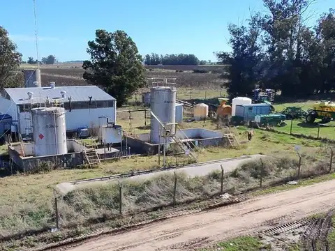 VENTA DE PLANTA OLEAGINOSA EN LOBERÍA