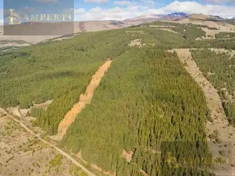 Terreno en el Remanso Smandes