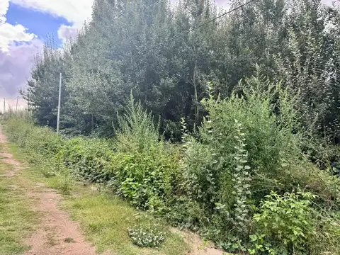 VENTA 2 LOTES 1200M2 EN YACANTO DE CALAMUCHITA