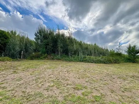 Terreno en Venta de 1200,0 m2