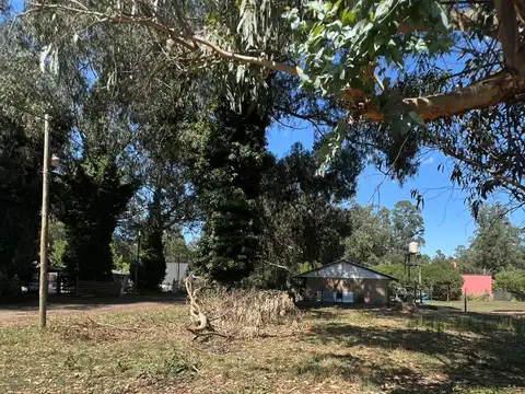 ARENALES Y SAN MARTIN