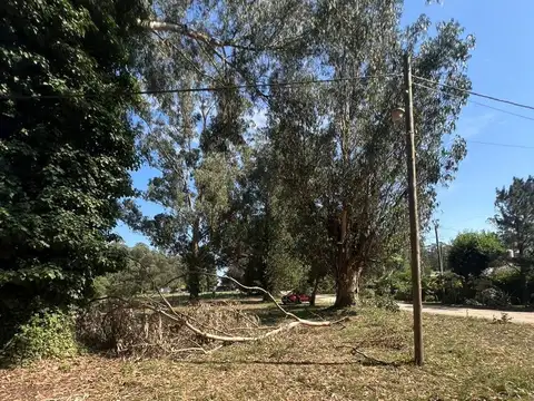 Terreno en Venta 10  mts Frente