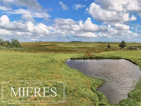 Campo en venta de 25 ha, puntas de José Ignacio, Maldonado Uruguay.