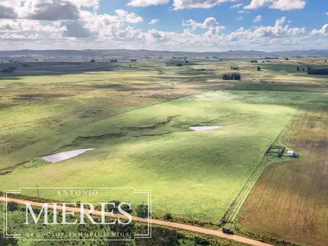 Campo en venta de 25 ha, puntas de José Ignacio, Maldonado Uruguay.  