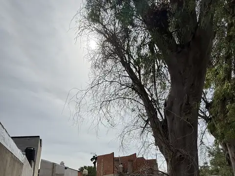 Terreno en Venta 24  mts Fondo