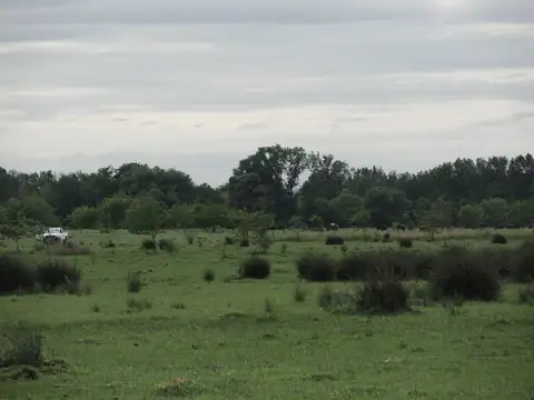 Campo en Venta con Alambrado