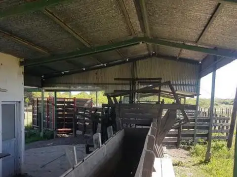 Pirane, Formosa, Establecimiento 46.000 has