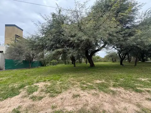 Terreno en Venta en Villa Catalina, USD 19.900