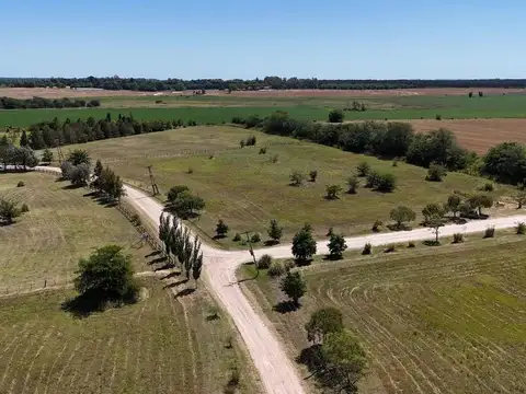 Ruta 9 100