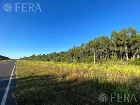 RUTA PROVINCIAL 6  - CAMPO CORRIENTES