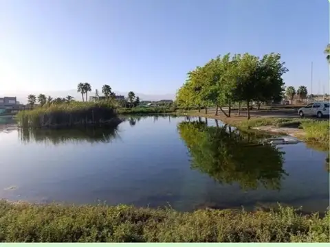 Terreno en Venta en El Sauce, Guaymallén