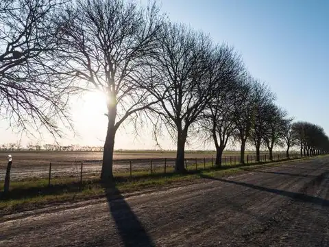 Terreno en Venta de 450,0 m2