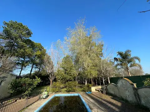 VENTA