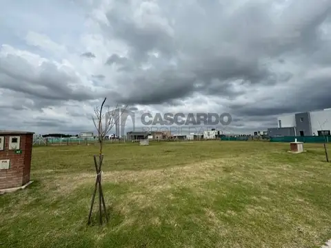 Terreno en Venta de 613,0 m2