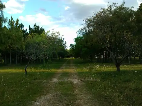 Campo en Venta de 3,10  ha