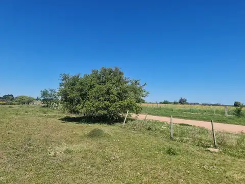 Ruta 3-General Jose Artigas 300