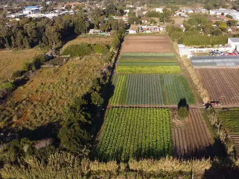 VENTA DE TERRENO DE 6795 MTS.  SAN JOSE CARRASCO