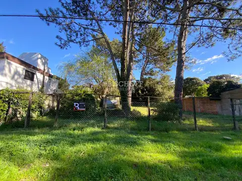 Terreno en Venta en Centro, USD 66.000