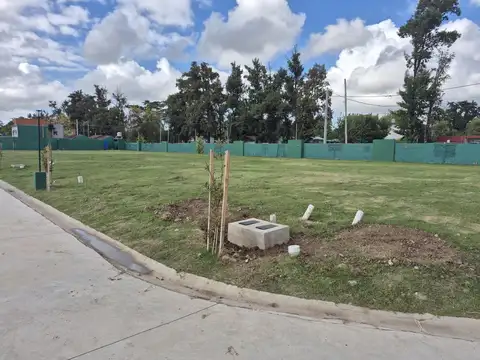 Terreno en Venta 10  mts Fondo