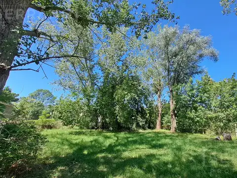 LDO. Venta. Terreno 1000 m2 arbolado. Barrio Parque Exaltación