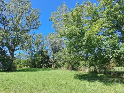 LDO Venta. Terreno 1000m2 arbolado. Barrio Parque Exaltación