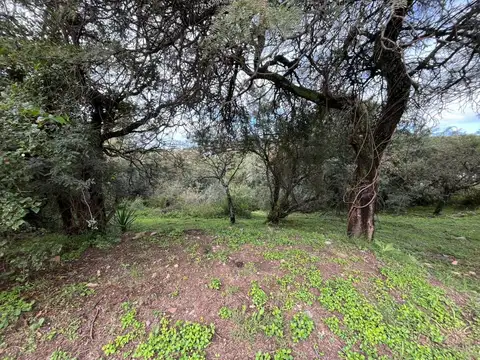 Lote en Cinco Lomas