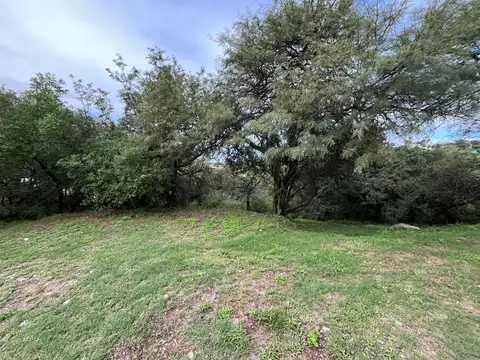 ¡Venta! Lote en Cinco Lomas ¡Pendiente Positiva! ¡Con escritura!