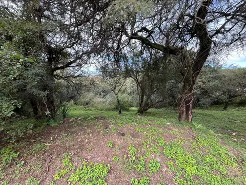 ¡Venta! Lote en Cinco Lomas ¡Pendiente Positiva! ¡Con escritura!