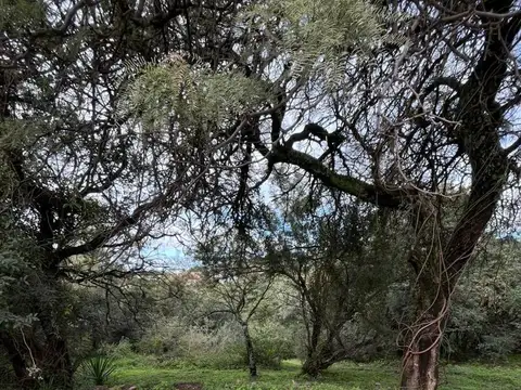 Terreno en Venta de 2000,0 m2