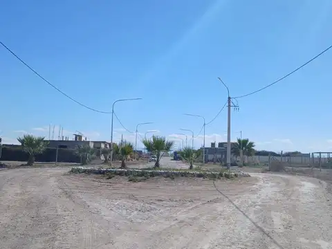 Las Margaritas