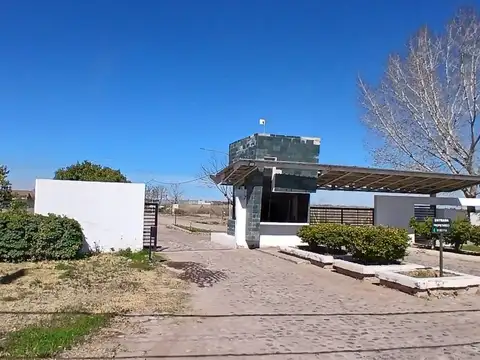Las Margaritas