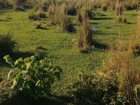 Terreno en Venta en Colonia Carlos Pellegrini, USD 140.000