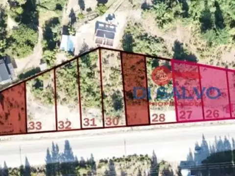 Ruta 16