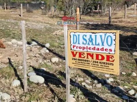 Ruta 16