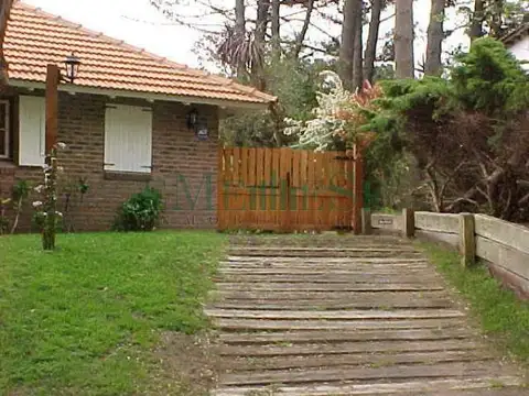 Martin Pescador 600