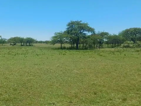 Paraje Saladero 100