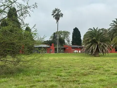 La ranita .