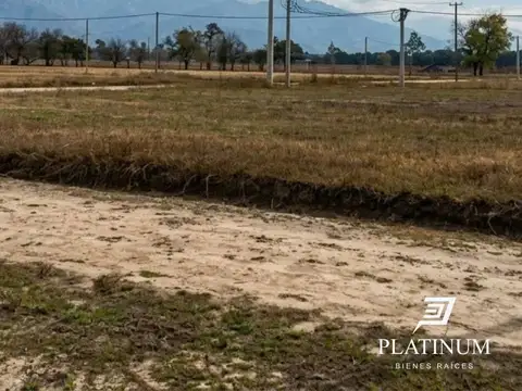 Terreno en Venta de 250,0 m2