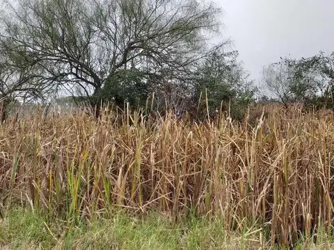 Terreno en Venta de 2834,0 m2