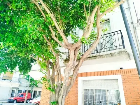 Andonaegui 1400, Piso 1