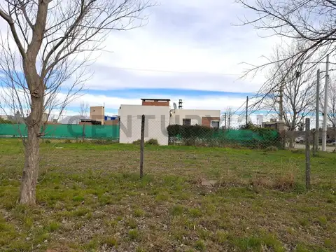 Terreno en Venta 12  mts Frente