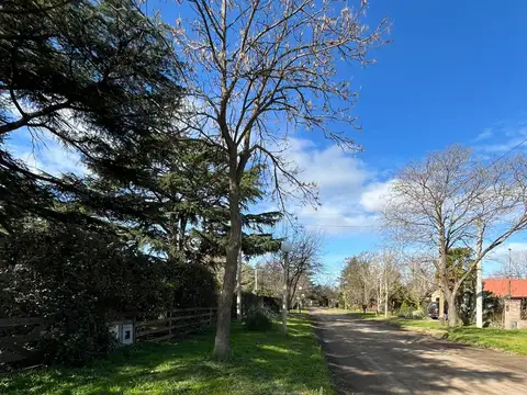Terreno en Venta de 485,0 m2