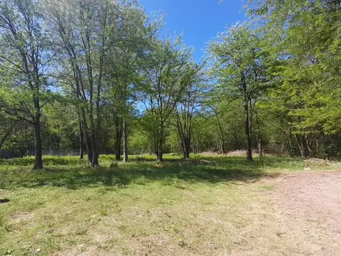 Lote 99. Barrio La Elina, Comarcas de Luján.
