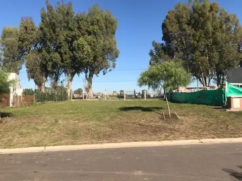 Ruta 25