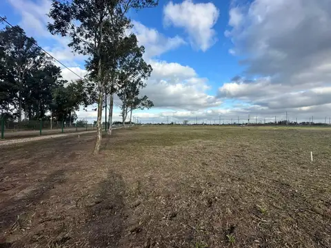 Terreno en Venta 32  mts Fondo