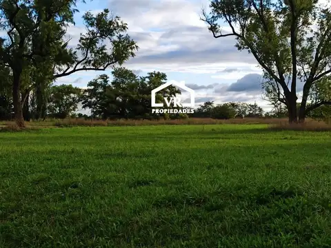 Lago de Manzanares, Manzanares, Pilar