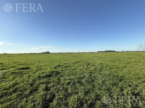 Terreno en Venta de 800000,0 m2