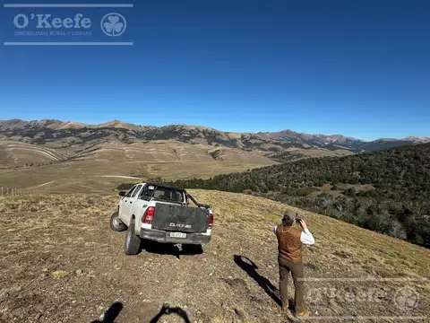 Campo de 2400 Has en - Bariloche Patagonia Argentina - Fly Fishing