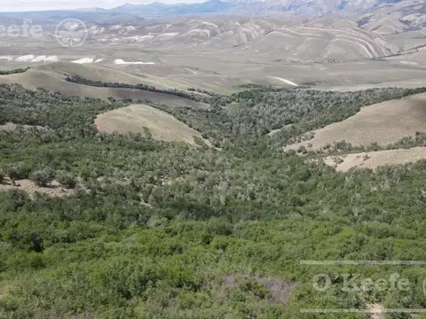Campo de 2400 Has en - Bariloche Patagonia Argentina - Fly Fishing